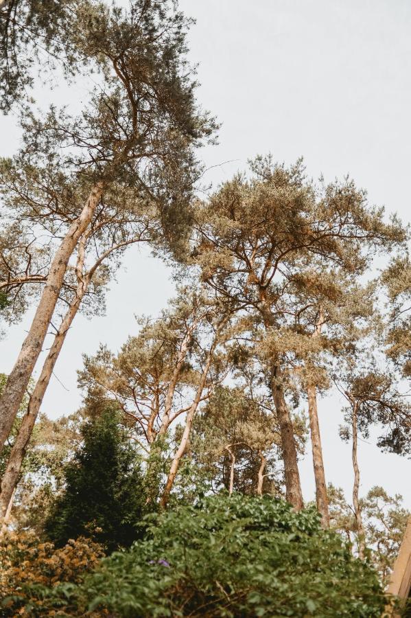 Boshuisje Rekem - Luka Lanaken Exteriér fotografie